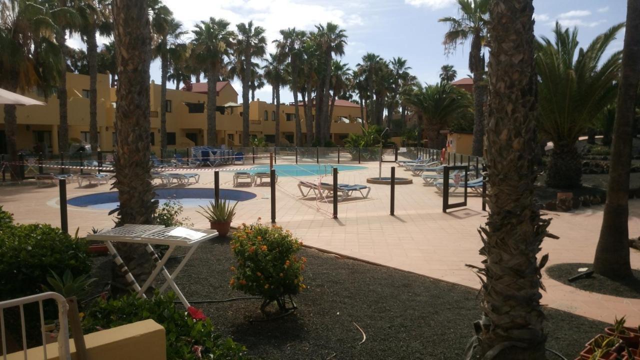 Oasis Royal F217 Lejlighed Corralejo Eksteriør billede