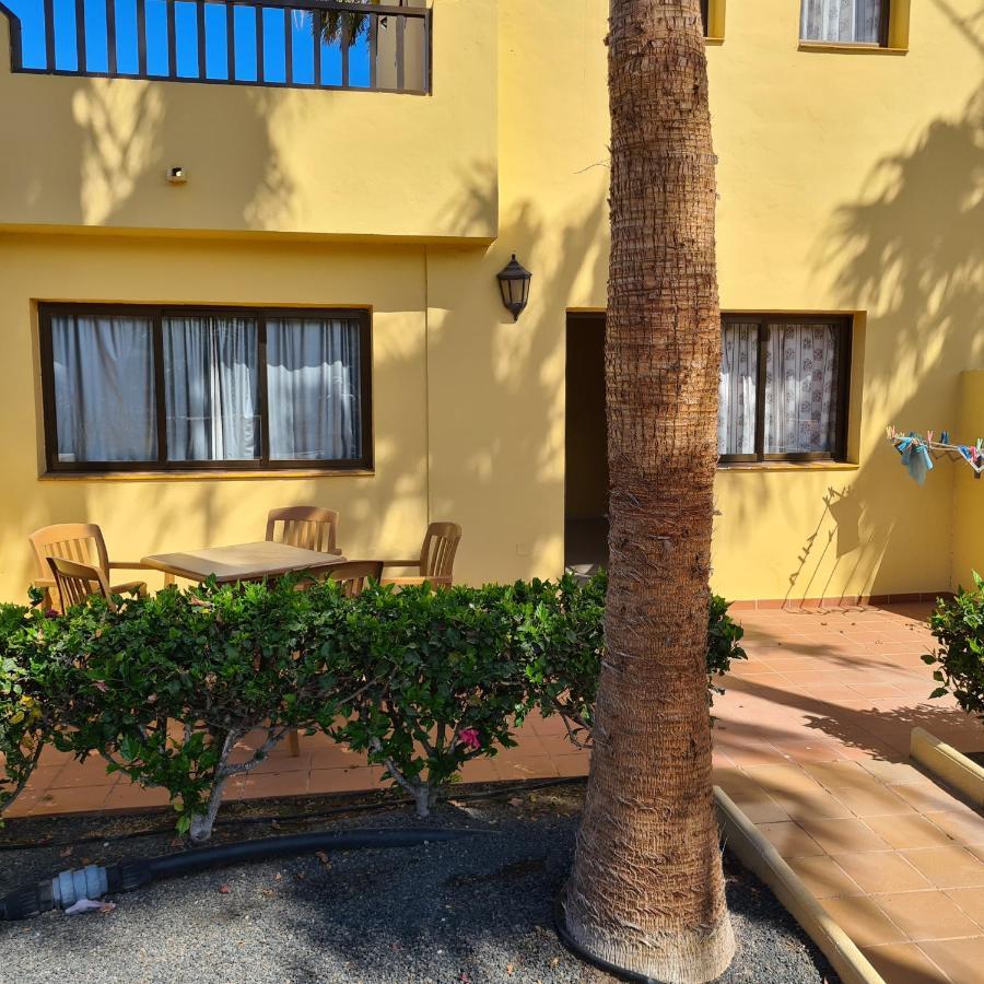 Oasis Royal F217 Lejlighed Corralejo Eksteriør billede