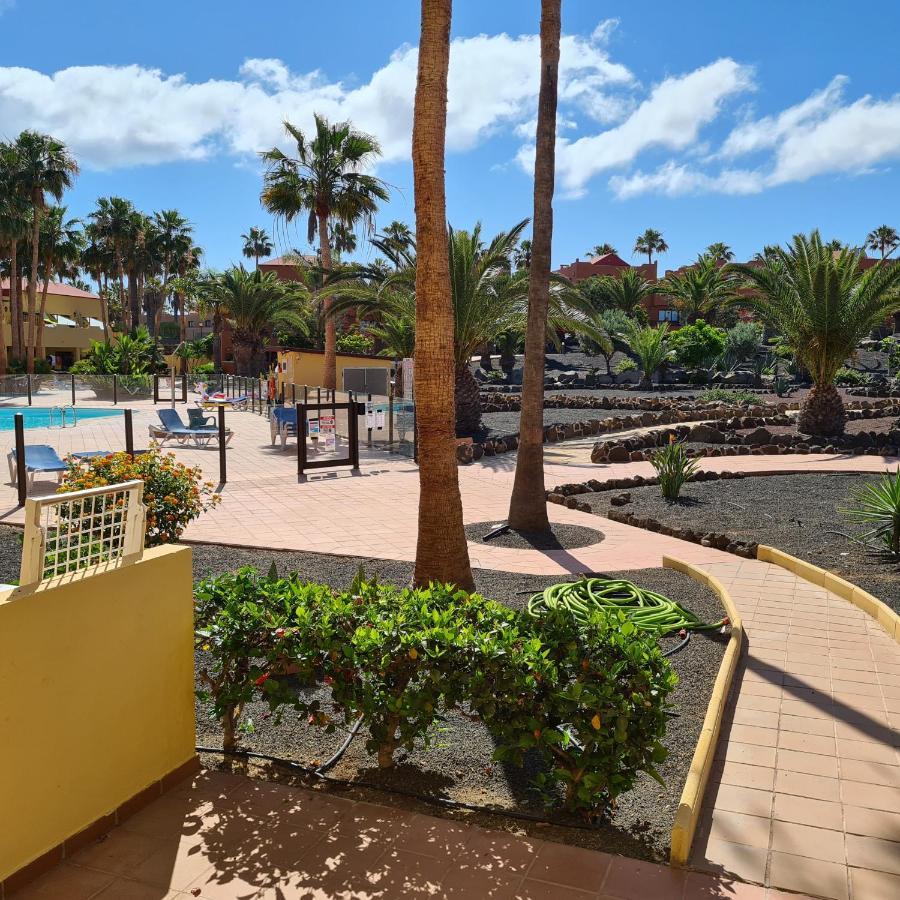 Oasis Royal F217 Lejlighed Corralejo Eksteriør billede